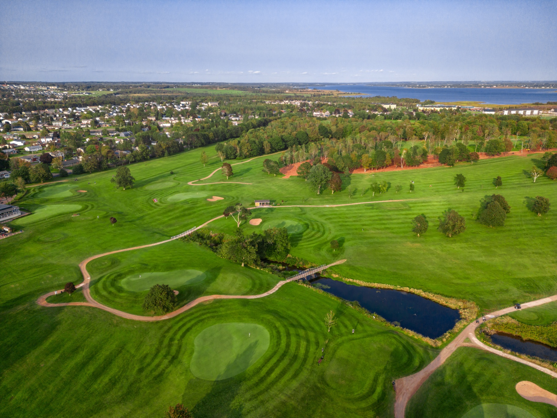 Belvedere Golf Course Green
